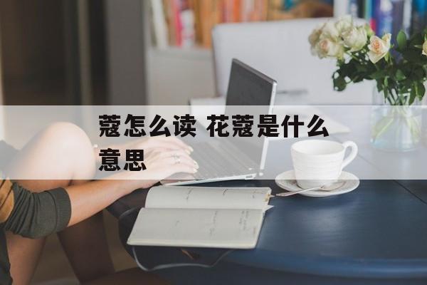蔻怎么读 花蔻是什么意思-第1张图片-