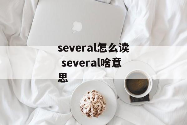 several怎么读 several啥意思-第1张图片-