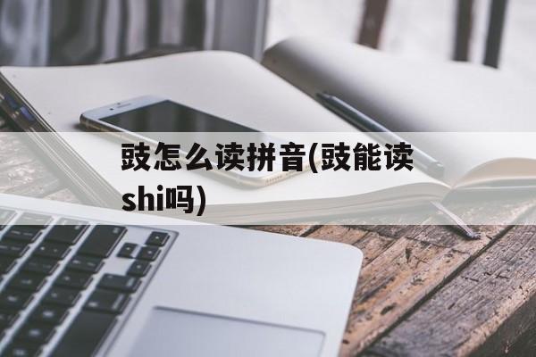 豉怎么读拼音(豉能读shi吗)-第1张图片-