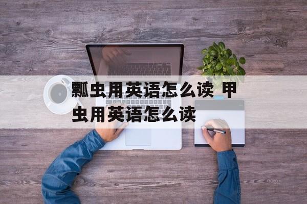 瓢虫用英语怎么读 甲虫用英语怎么读-第1张图片-