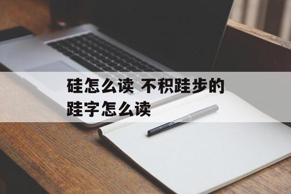硅怎么读 不积跬步的跬字怎么读-第1张图片-