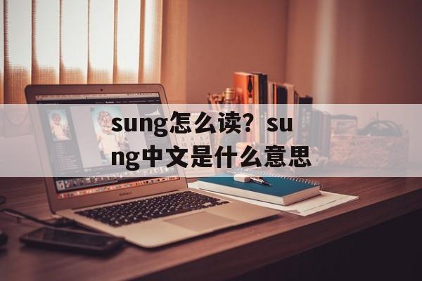 sung怎么读？sung中文是什么意思-第1张图片-