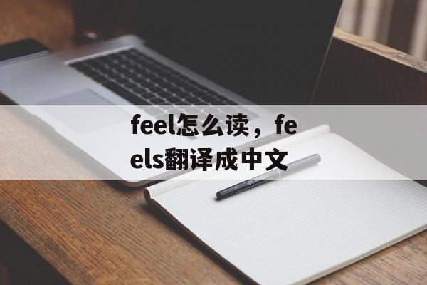 feel怎么读，feels翻译成中文-第1张图片-