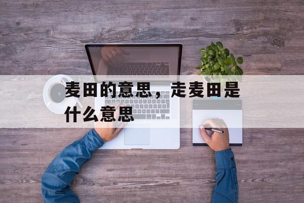 麦田的意思，走麦田是什么意思-第1张图片-
