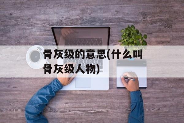 骨灰级的意思(什么叫骨灰级人物)-第1张图片-
