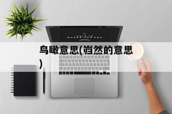 鸟瞰意思(岿然的意思)-第1张图片-