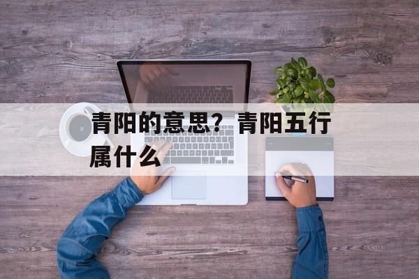 青阳的意思？青阳五行属什么-第1张图片-