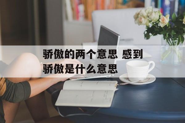 骄傲的两个意思 感到骄傲是什么意思-第1张图片-