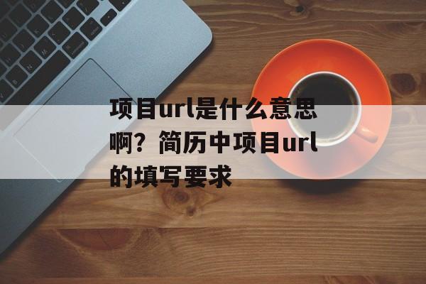 项目url是什么意思啊？简历中项目url的填写要求-第1张图片-