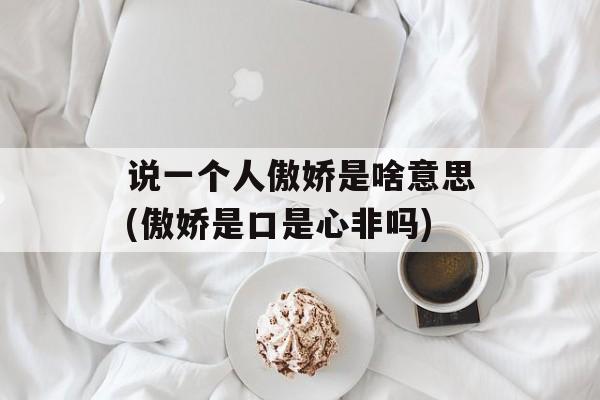 说一个人傲娇是啥意思(傲娇是口是心非吗)-第1张图片-