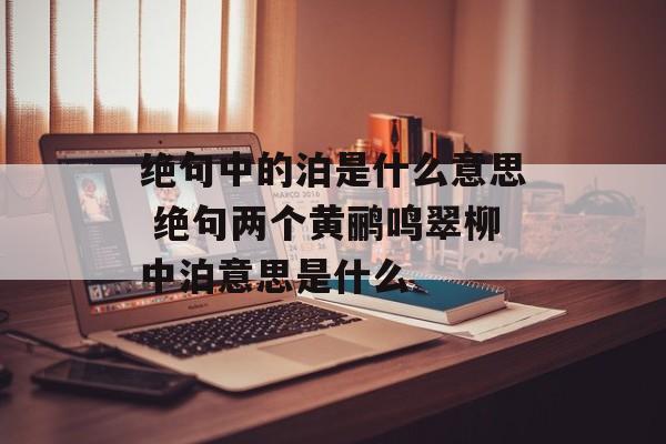 绝句中的泊是什么意思 绝句两个黄鹂鸣翠柳中泊意思是什么-第1张图片-