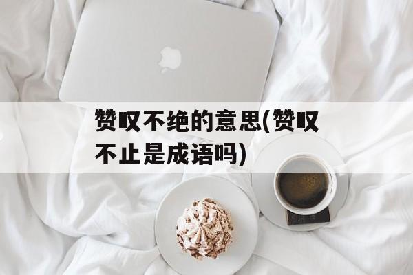 赞叹不绝的意思(赞叹不止是成语吗)-第1张图片-