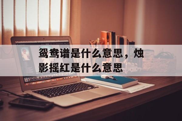 鸳鸯谱是什么意思，烛影摇红是什么意思-第1张图片-