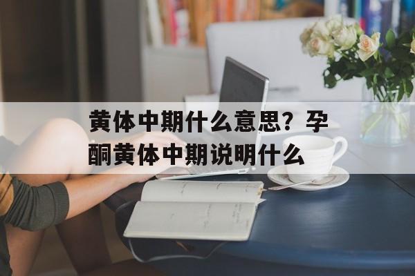 黄体中期什么意思？孕酮黄体中期说明什么-第1张图片-