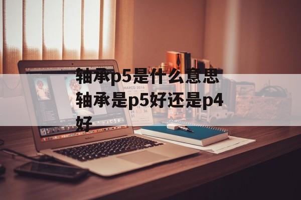 轴承p5是什么意思 轴承是p5好还是p4好-第1张图片-