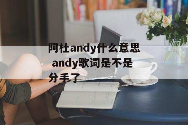 阿杜andy什么意思 andy歌词是不是分手了-第1张图片-