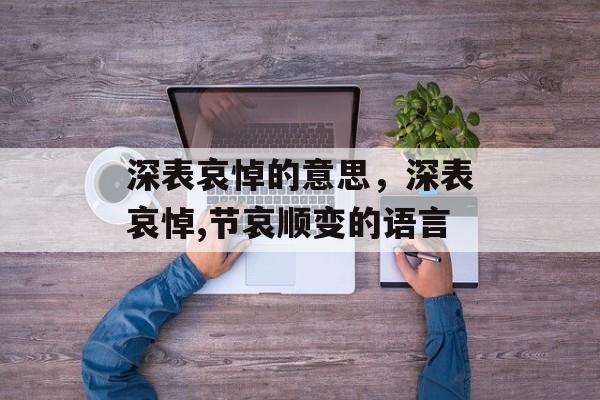 深表哀悼的意思，深表哀悼,节哀顺变的语言-第1张图片-