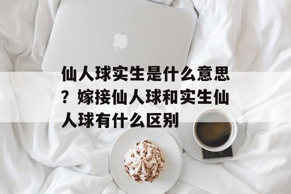 仙人球实生是什么意思？嫁接仙人球和实生仙人球有什么区别-第1张图片-