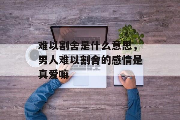 难以割舍是什么意思，男人难以割舍的感情是真爱嘛-第1张图片-