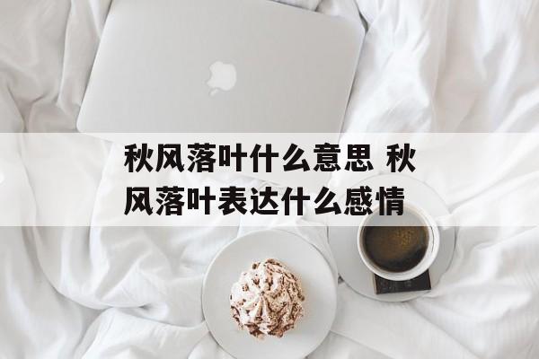 秋风落叶什么意思 秋风落叶表达什么感情-第1张图片-