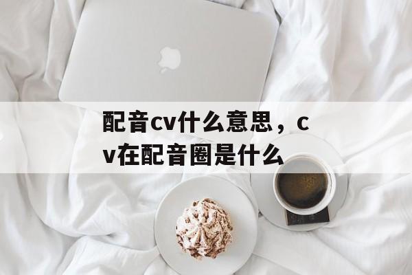 配音cv什么意思，cv在配音圈是什么-第1张图片-