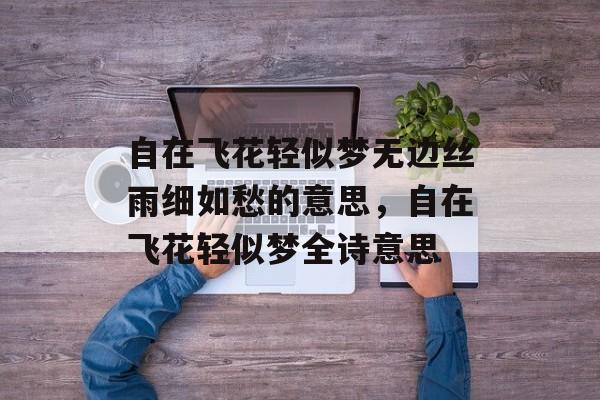 自在飞花轻似梦无边丝雨细如愁的意思，自在飞花轻似梦全诗意思-第1张图片-