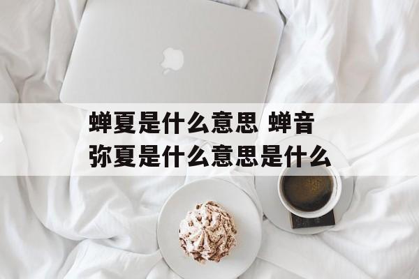 蝉夏是什么意思 蝉音弥夏是什么意思是什么-第1张图片-