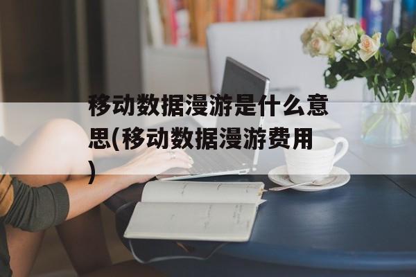 移动数据漫游是什么意思(移动数据漫游费用)-第1张图片-