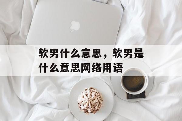 软男什么意思，软男是什么意思网络用语-第1张图片-