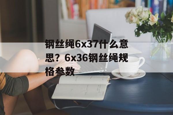 钢丝绳6x37什么意思？6x36钢丝绳规格参数-第1张图片-