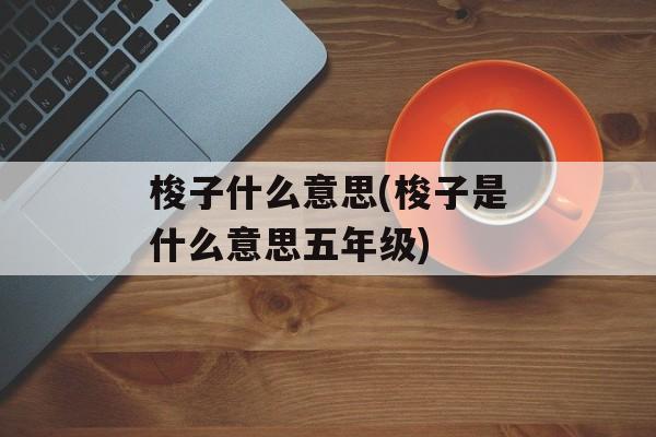 梭子什么意思(梭子是什么意思五年级)-第1张图片-