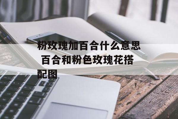 粉玫瑰加百合什么意思 百合和粉色玫瑰花搭配图-第1张图片-
