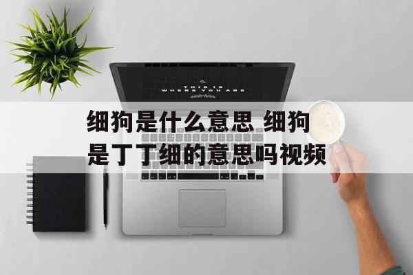 细狗是什么意思 细狗是丁丁细的意思吗视频-第1张图片-