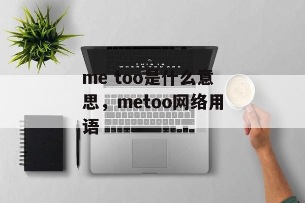 me too是什么意思，metoo网络用语-第1张图片-
