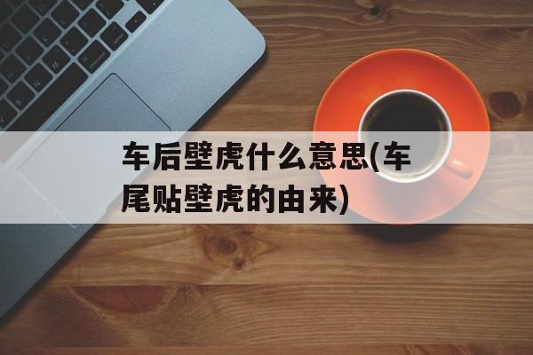 车后壁虎什么意思(车尾贴壁虎的由来)-第1张图片-
