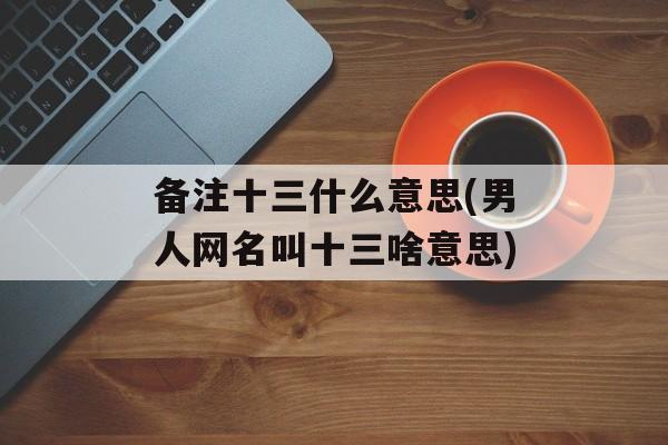 备注十三什么意思(男人网名叫十三啥意思)-第1张图片-