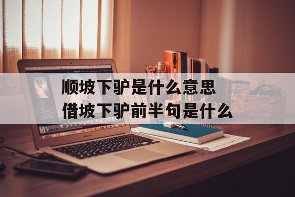 顺坡下驴是什么意思 借坡下驴前半句是什么-第1张图片-
