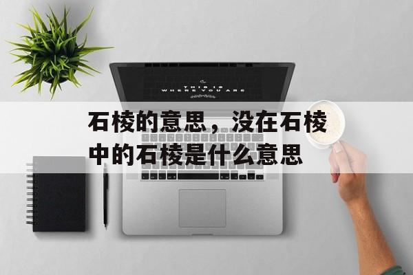 石棱的意思，没在石棱中的石棱是什么意思-第1张图片-