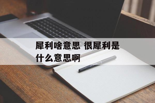 犀利啥意思 很犀利是什么意思啊-第1张图片-