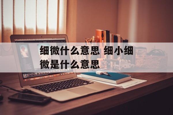细微什么意思 细小细微是什么意思-第1张图片-