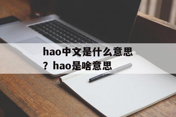 hao中文是什么意思？hao是啥意思-第1张图片-