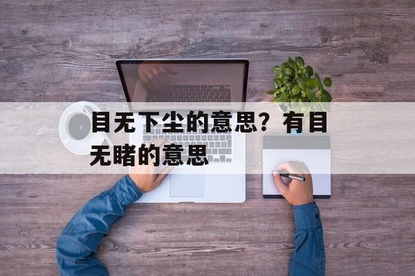 目无下尘的意思？有目无睹的意思-第1张图片-
