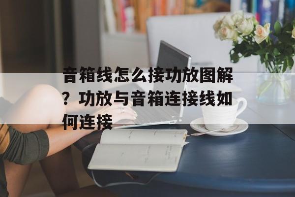 音箱线怎么接功放图解？功放与音箱连接线如何连接-第1张图片-