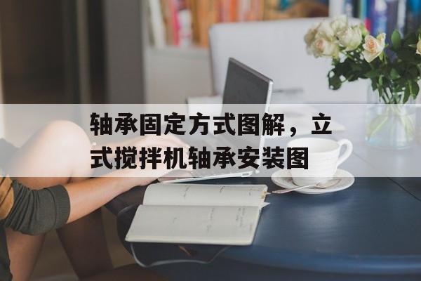 轴承固定方式图解，立式搅拌机轴承安装图-第1张图片-