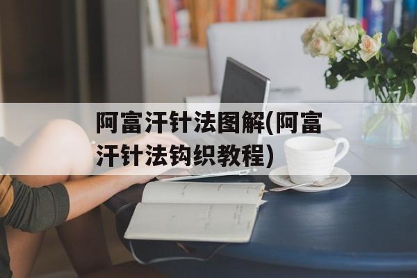 阿富汗针法图解(阿富汗针法钩织教程)-第1张图片-