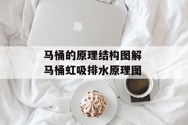 马桶的原理结构图解 马桶虹吸排水原理图-第1张图片-