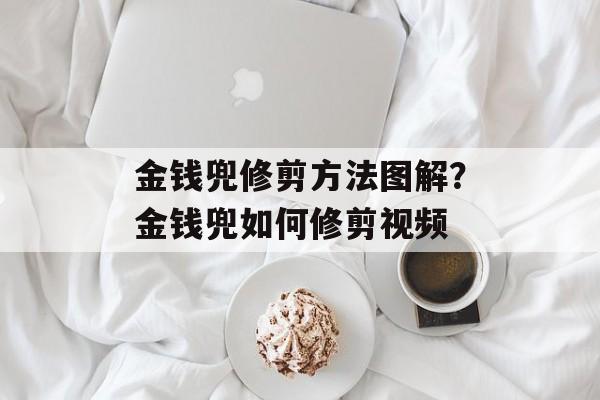 金钱兜修剪方法图解？金钱兜如何修剪视频-第1张图片-