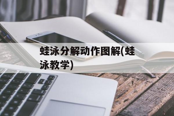 蛙泳分解动作图解(蛙泳教学)-第1张图片-