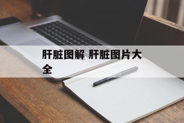 肝脏图解 肝脏图片大全-第1张图片-
