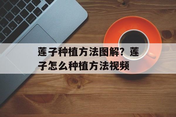 莲子种植方法图解？莲子怎么种植方法视频-第1张图片-